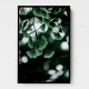 Ginko 1 Wall Art